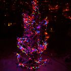 colorful christmas tree