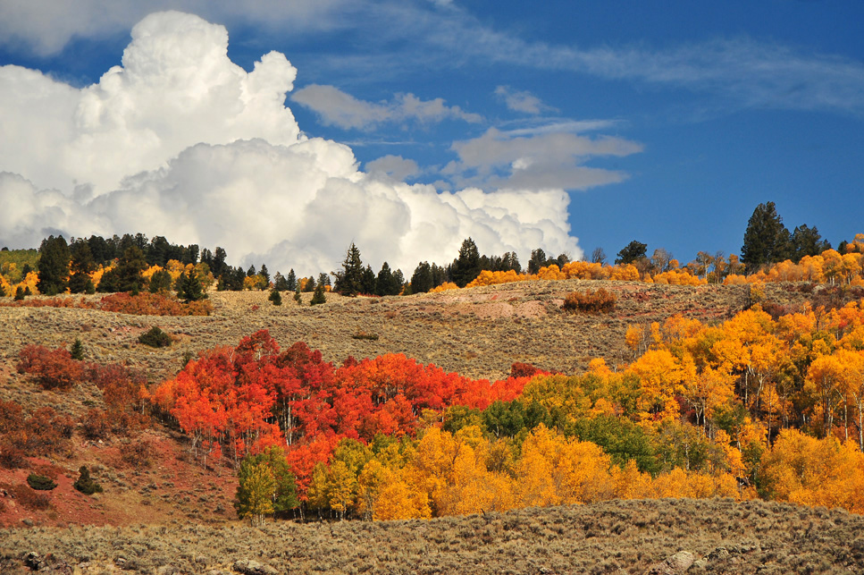 Colorful Colorado