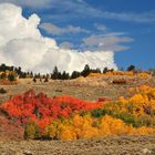 Colorful Colorado