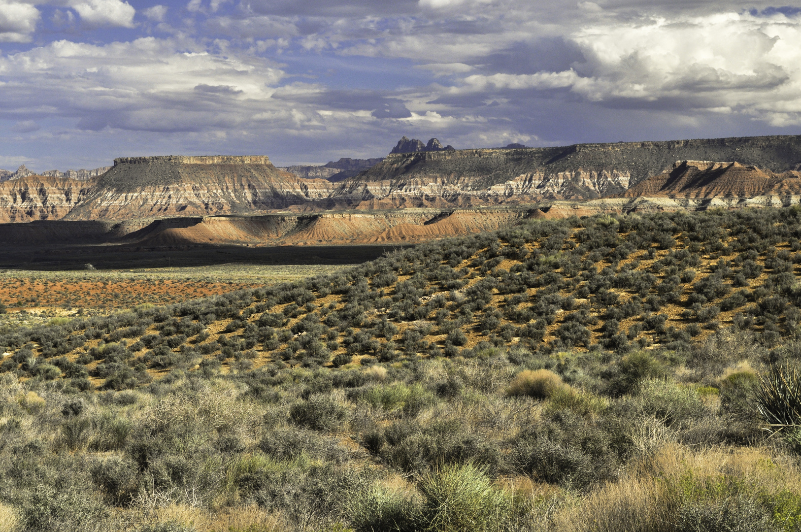 Colorful Desert