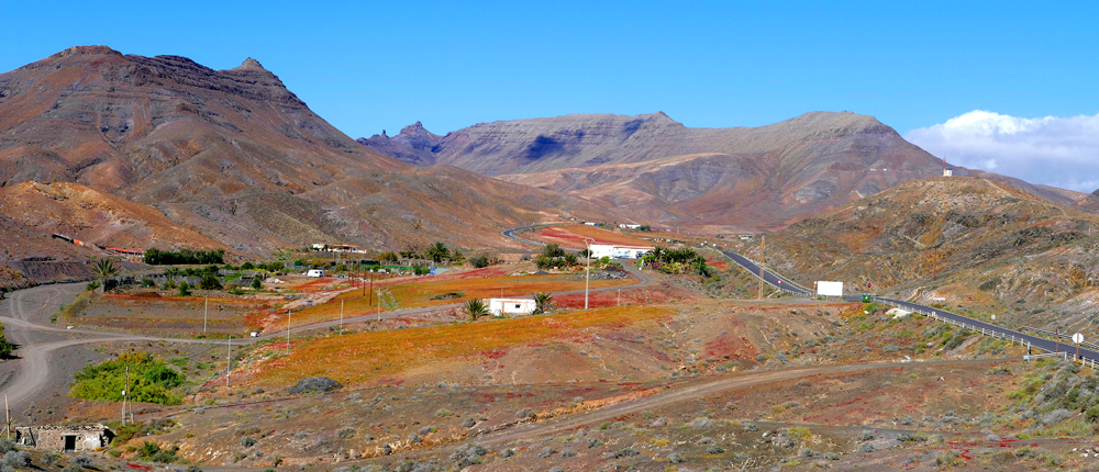 ...Colorful Fuerteventura...01