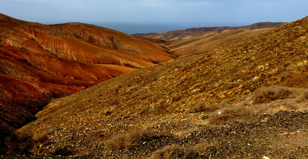 ...colorful fuerteventura...01...