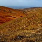 ...colorful fuerteventura...01...