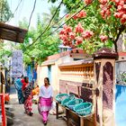 Colorful India