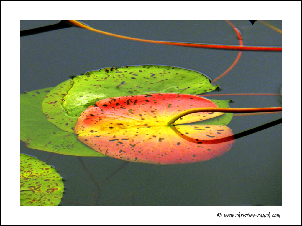 colorful oktober 2011