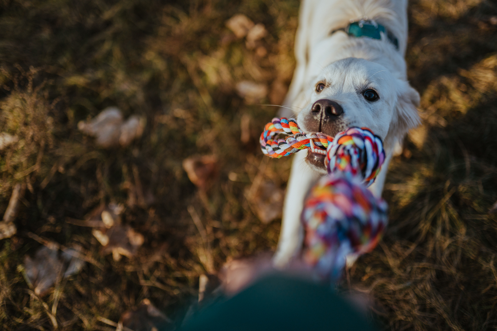 Colorful play