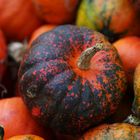 Colorful Pumpkins