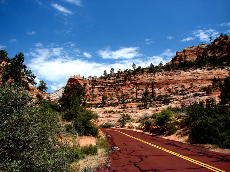 Colorful Road