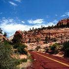 Colorful Road