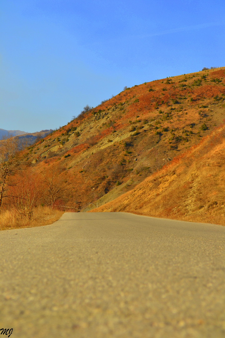 Colorful Road