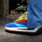 Colorful shoe