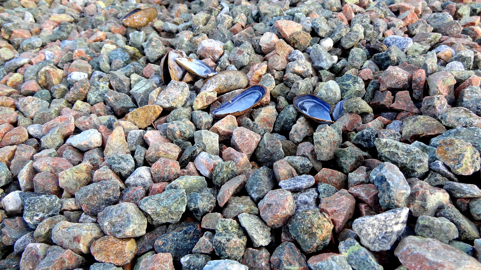 colorful stones