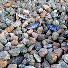 colorful stones