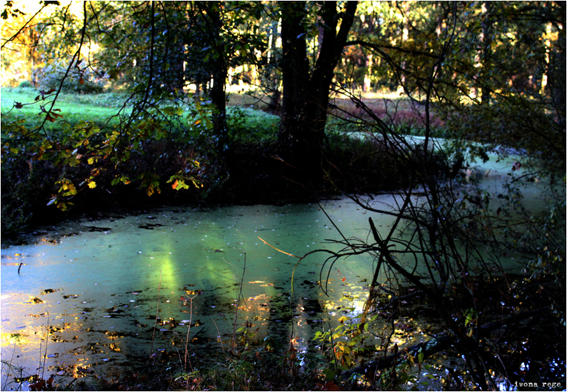 Colorful Water