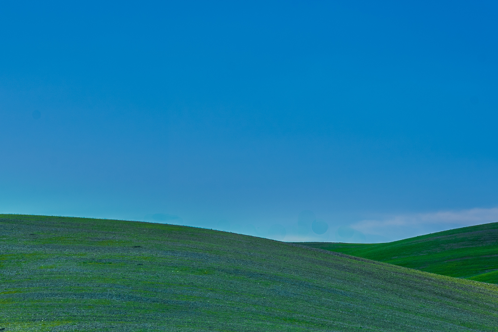 Colori