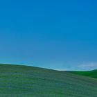 Colori