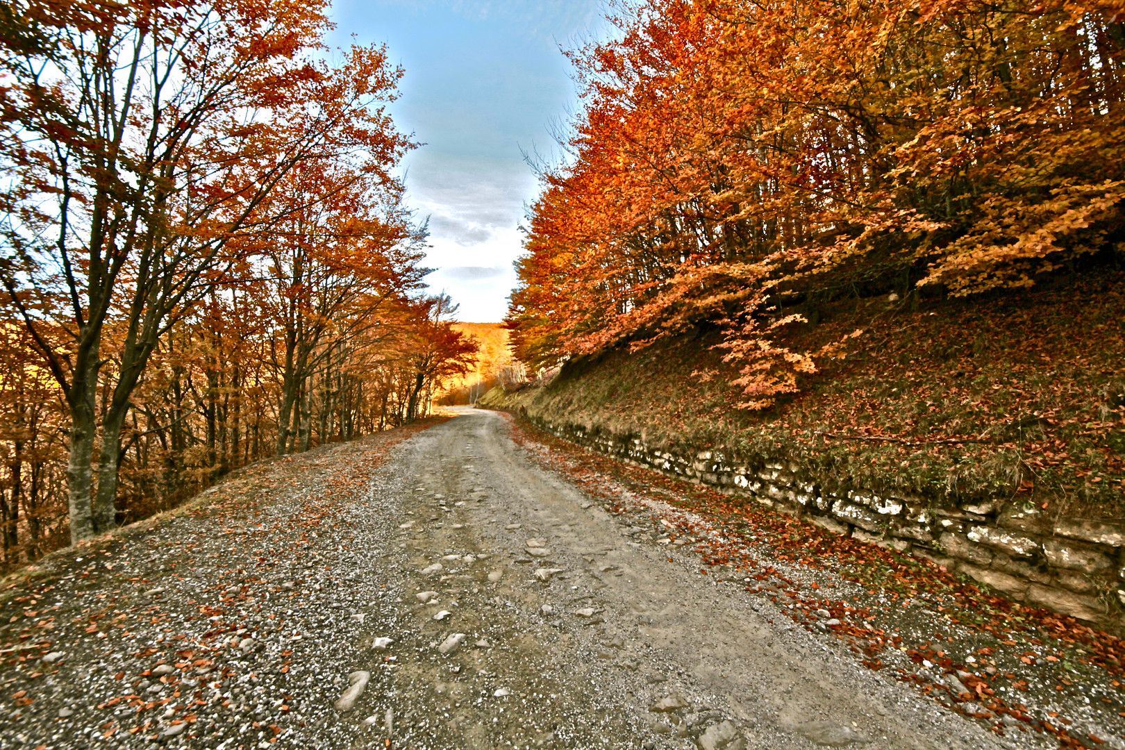 Colori autunnali