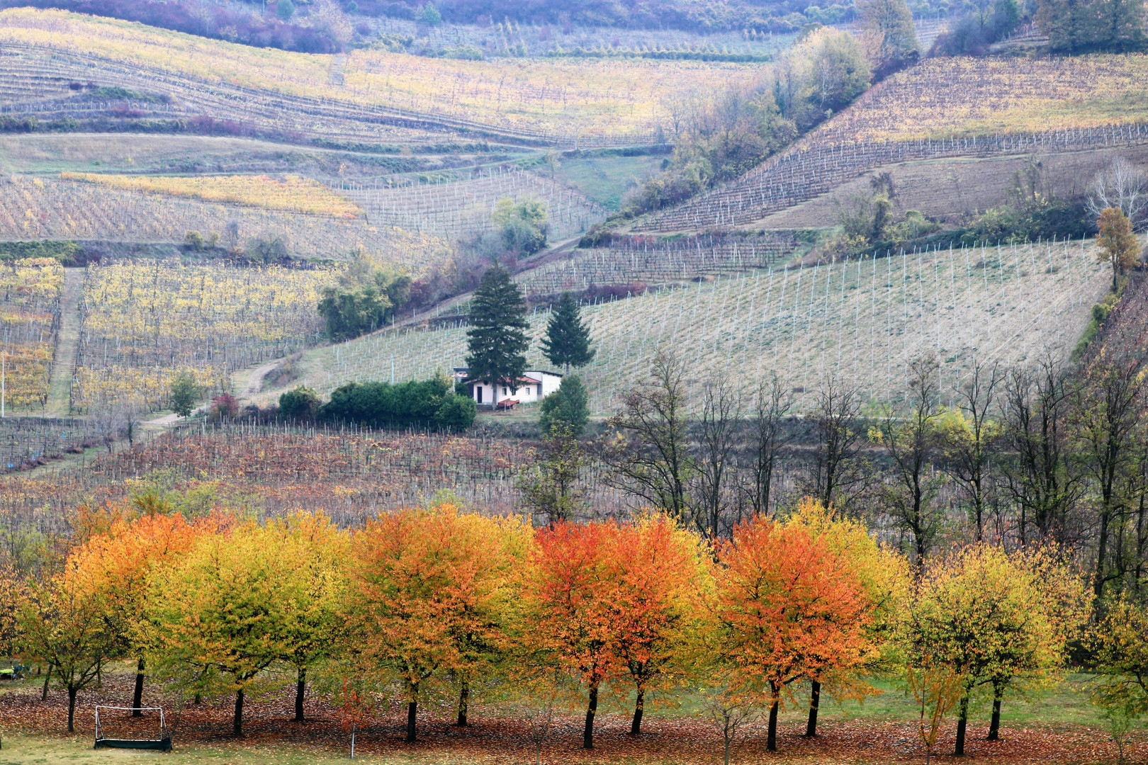 colori autunnali