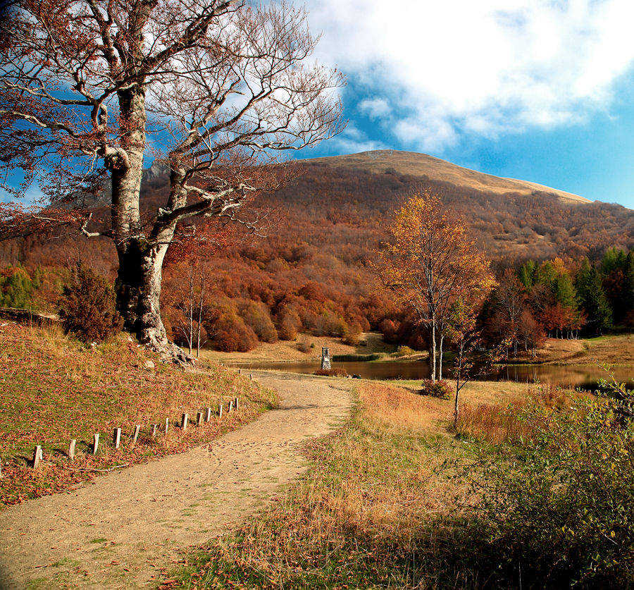 colori autunnali