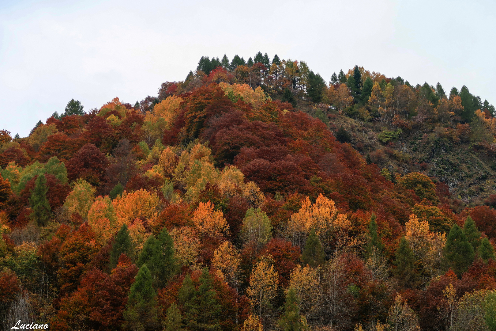 colori autunnali