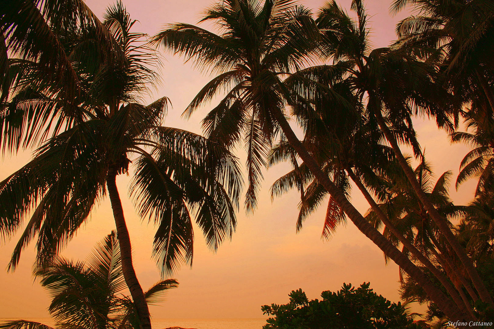 Colori caldi alle Maldive