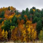 Colori caldi dell'autunno