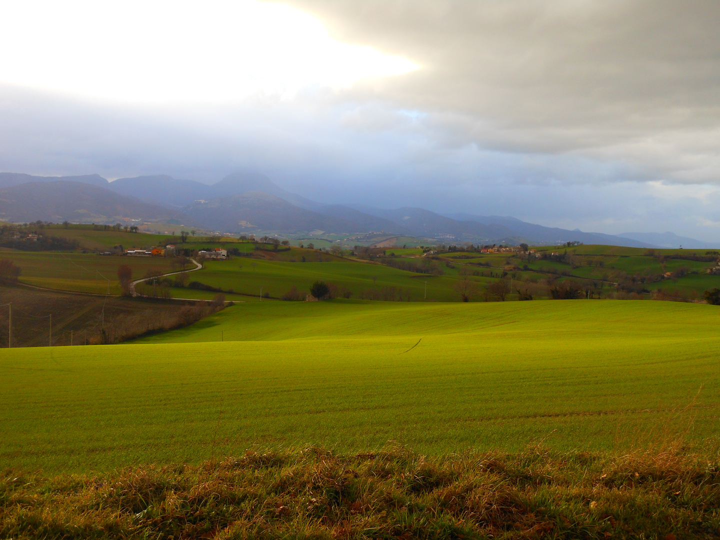 Colori che precedono la primavera