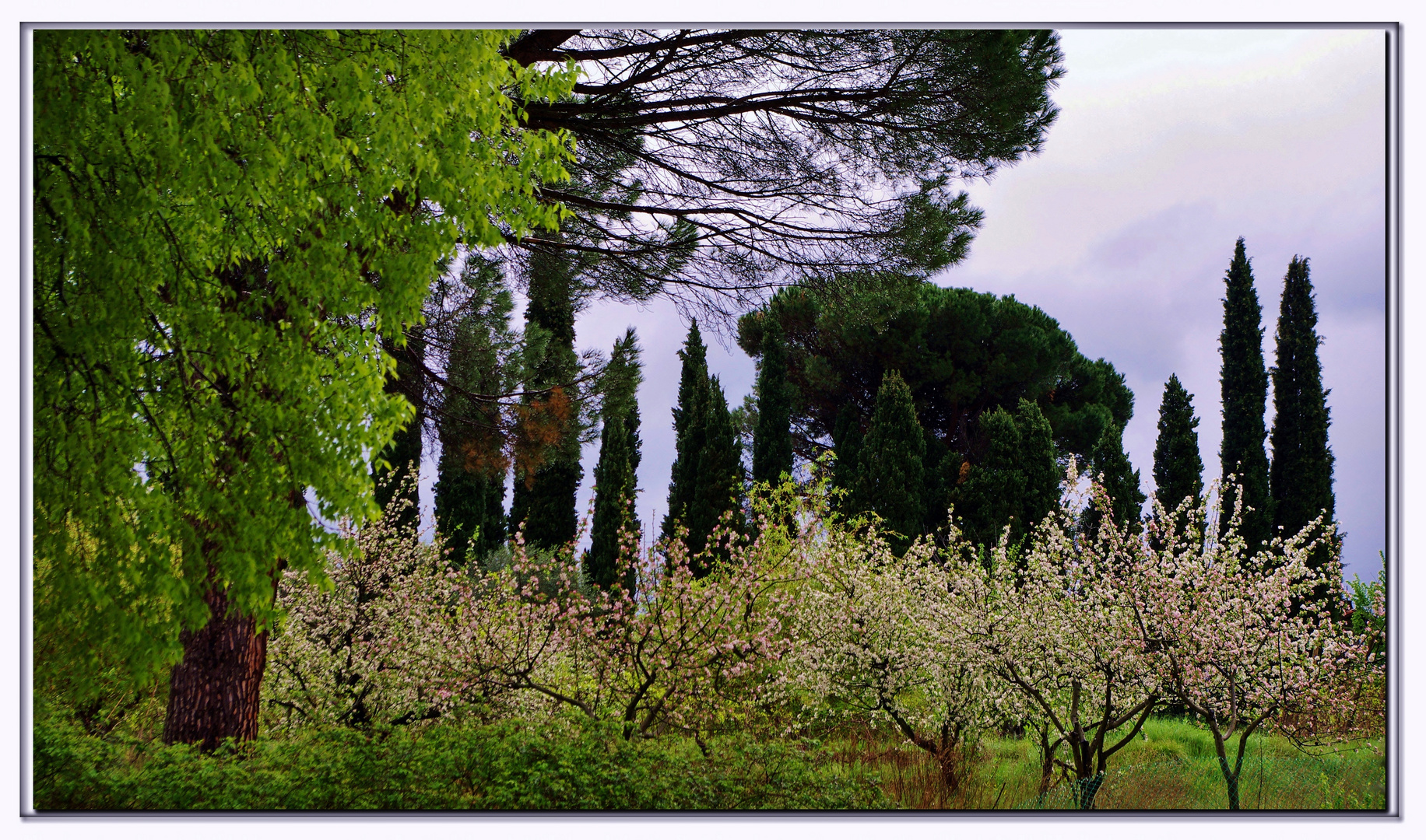 colori d aprile....