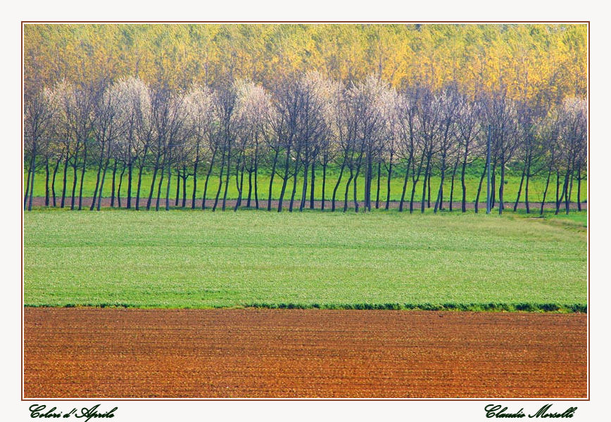 Colori D' Aprile