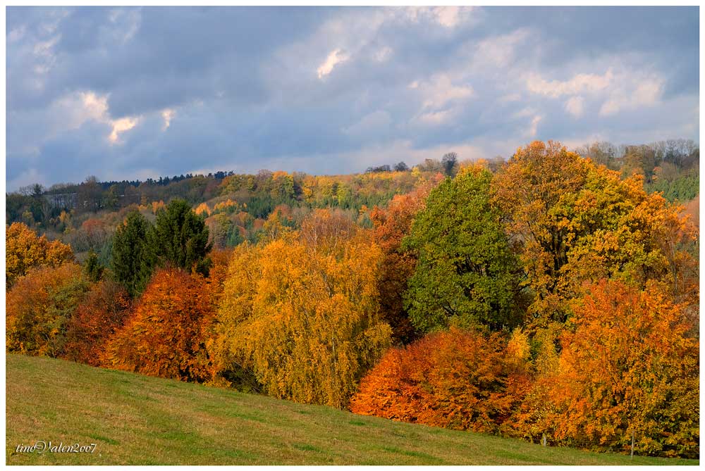 ... colori d-autunno ...