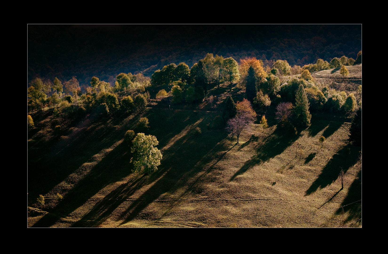 colori d' autunno