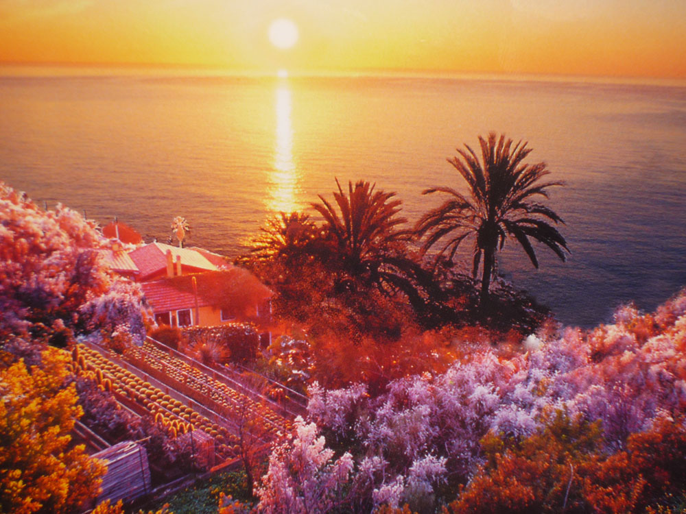 colori dalla RIVIERA LIGURE DI PONENTE