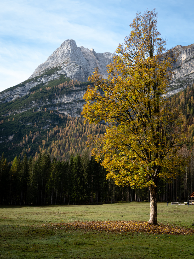 Colori d'autunno 02