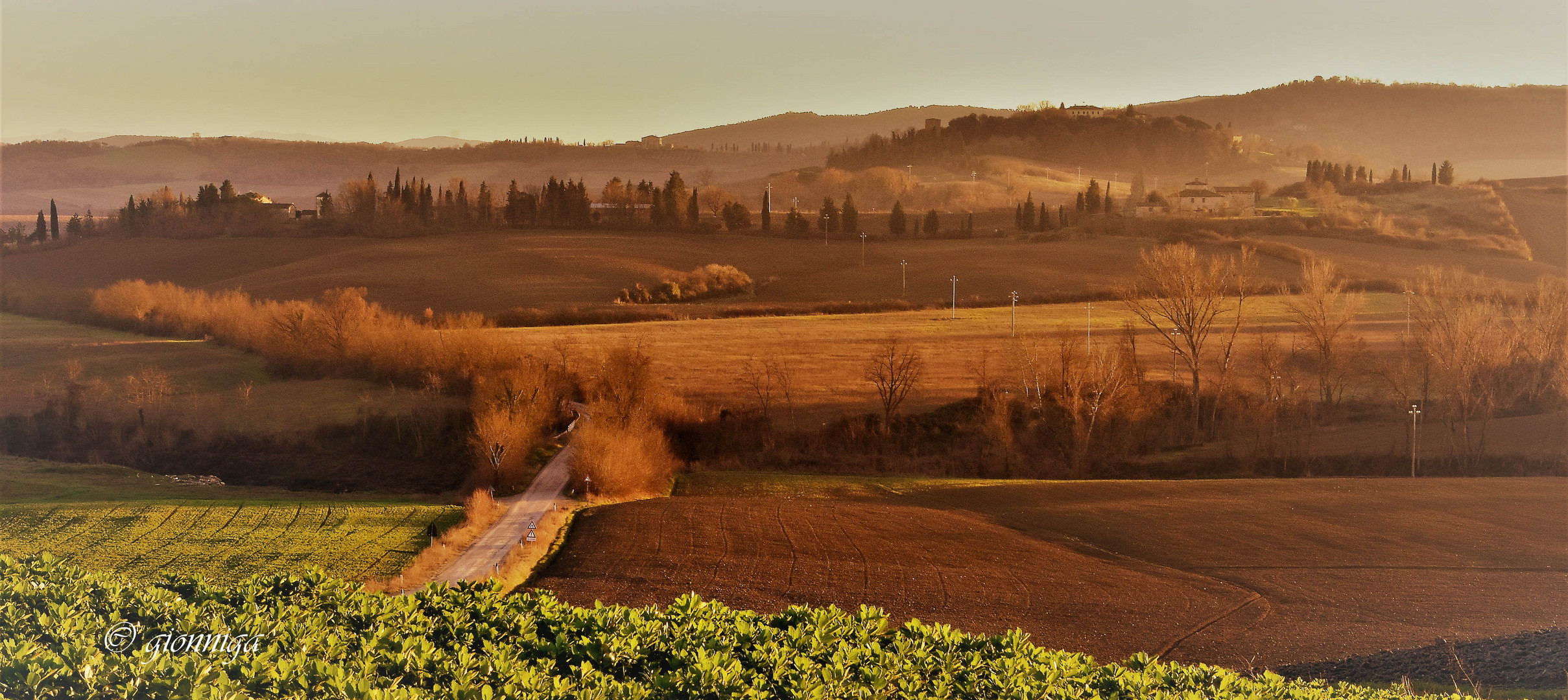 Colori d'autunno 1