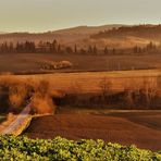 Colori d'autunno 1