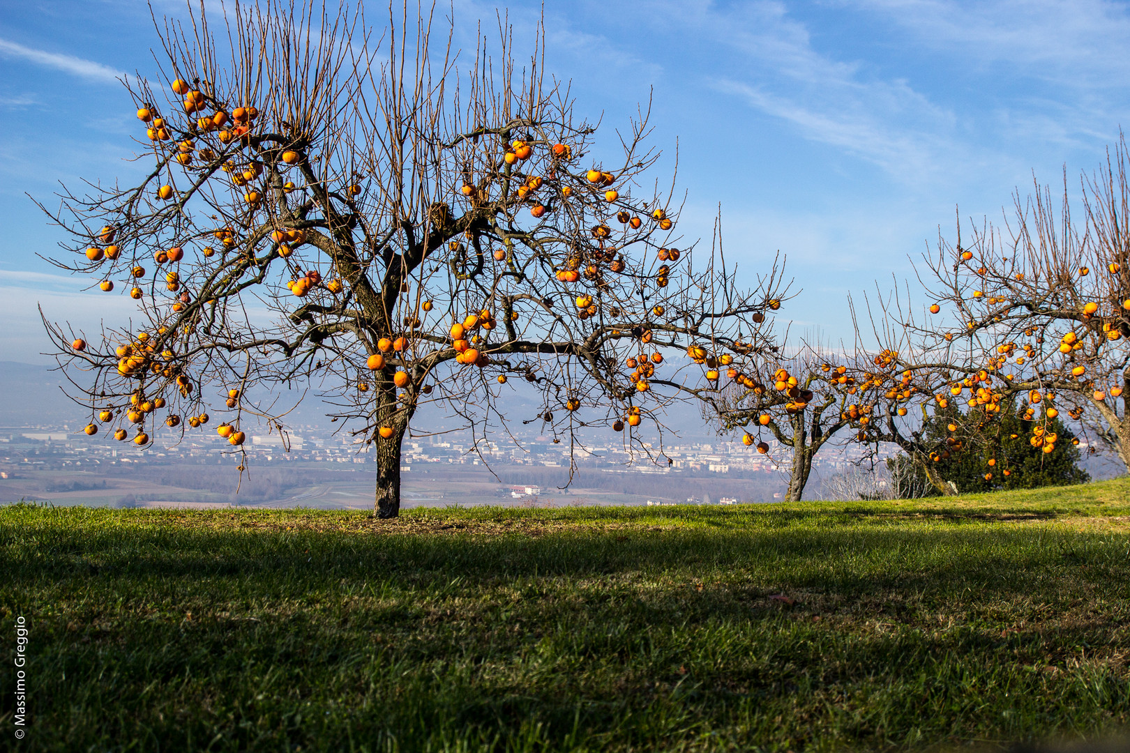 Colori d'autunno #2