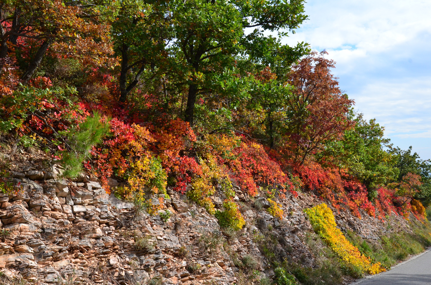 Colori d'autunno 2011