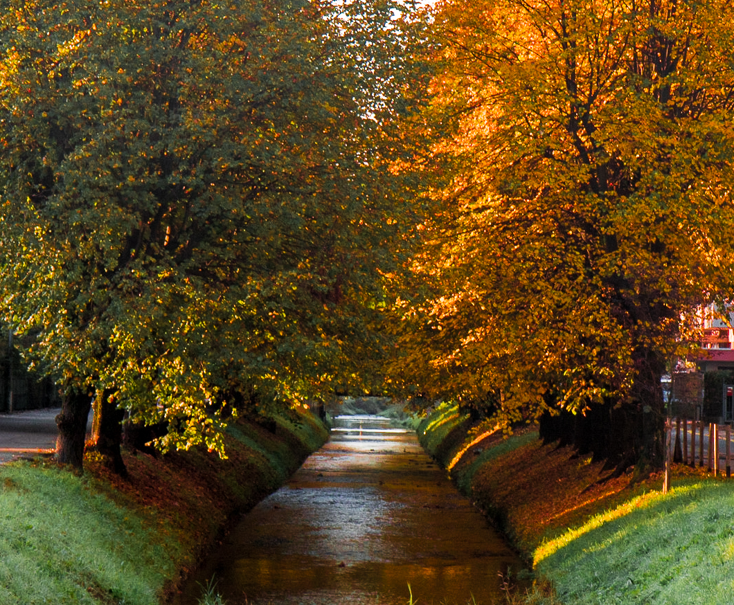 Colori d'autunno