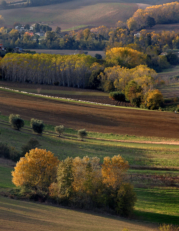 colori d'autunno