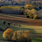 colori d'autunno