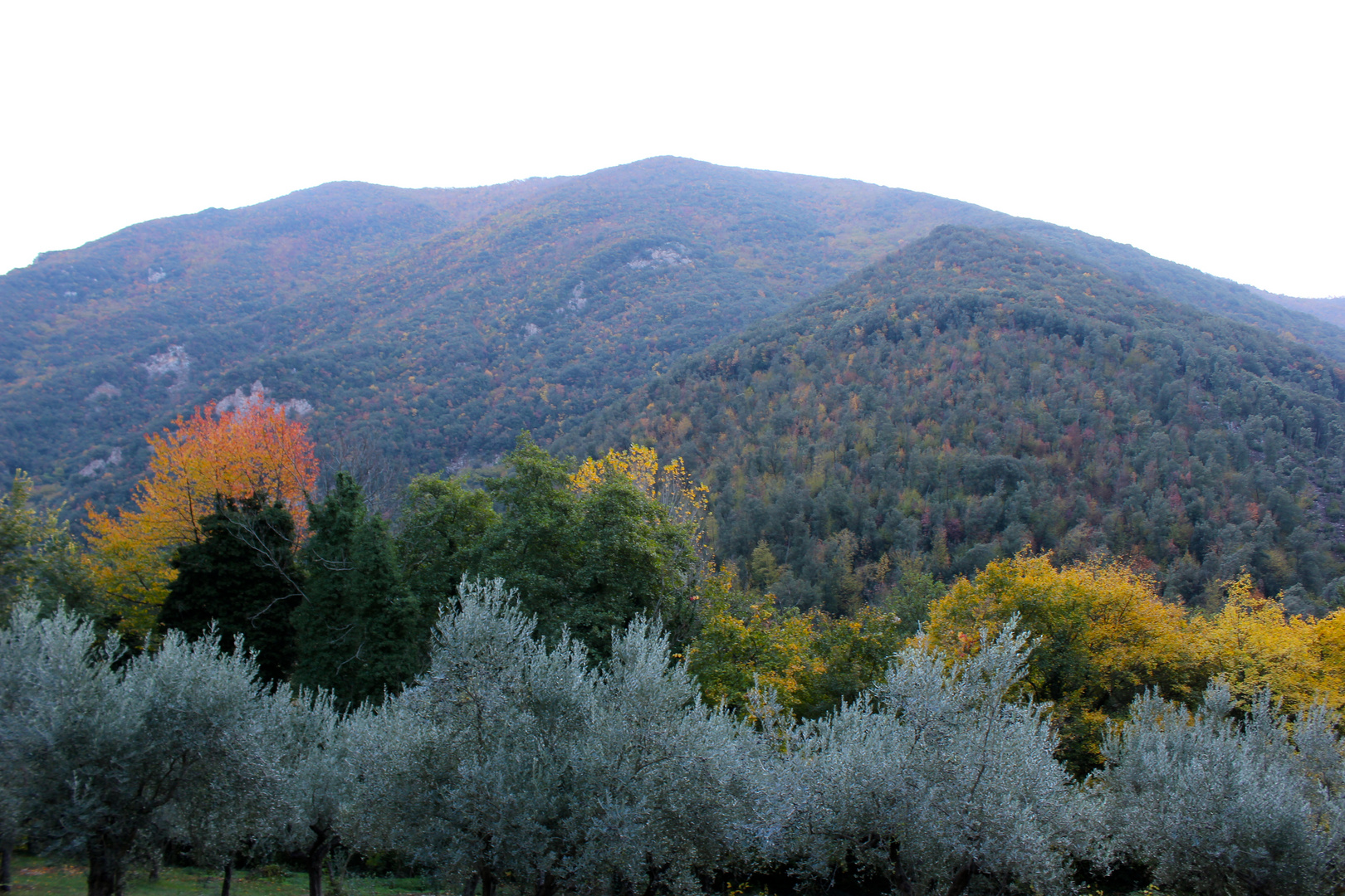 colori d'autunno