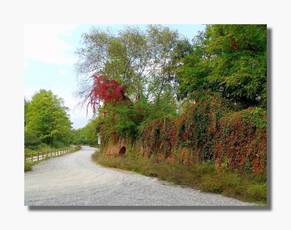 Colori d'Autunno.....