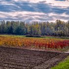 Colori D'Autunno