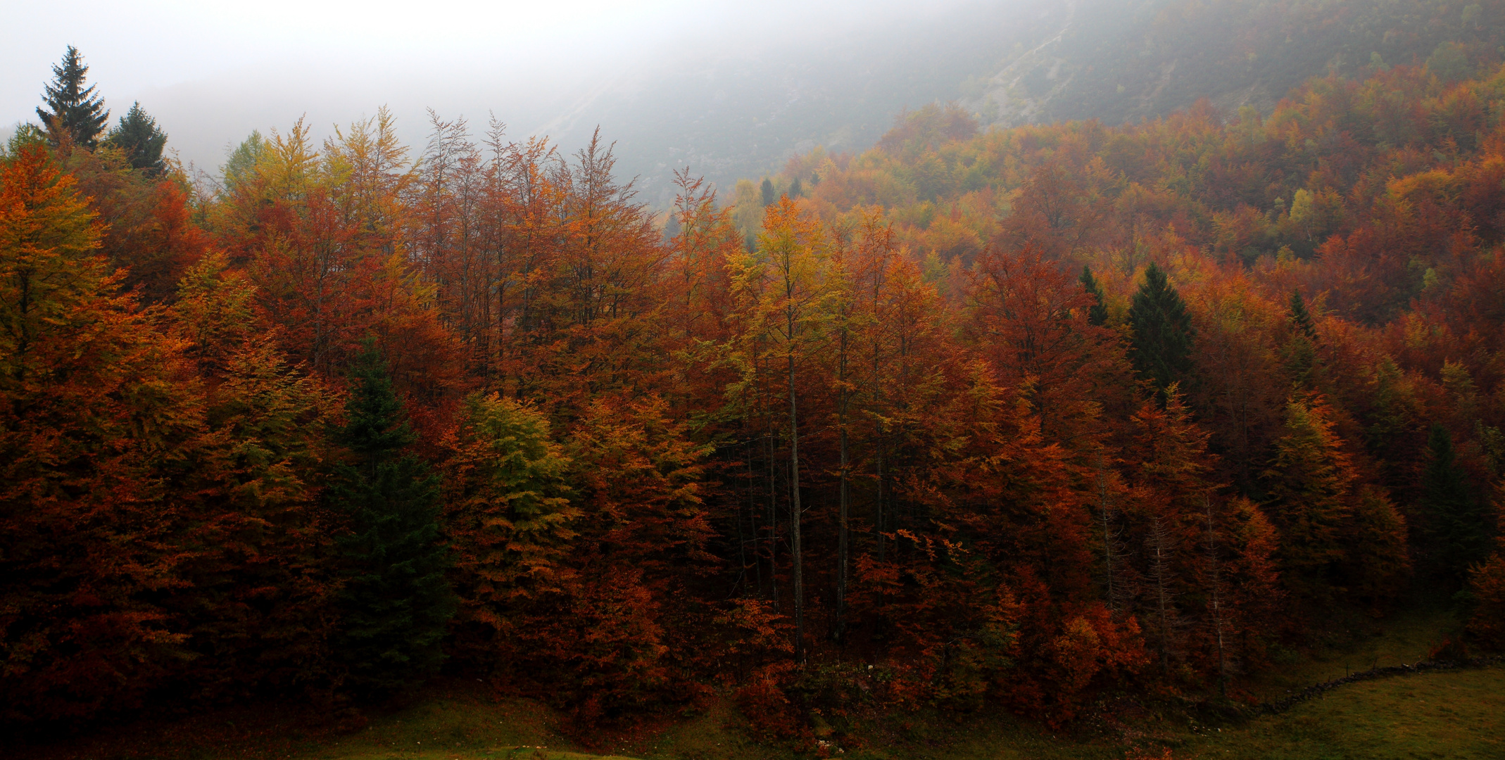 COLORI D'AUTUNNO