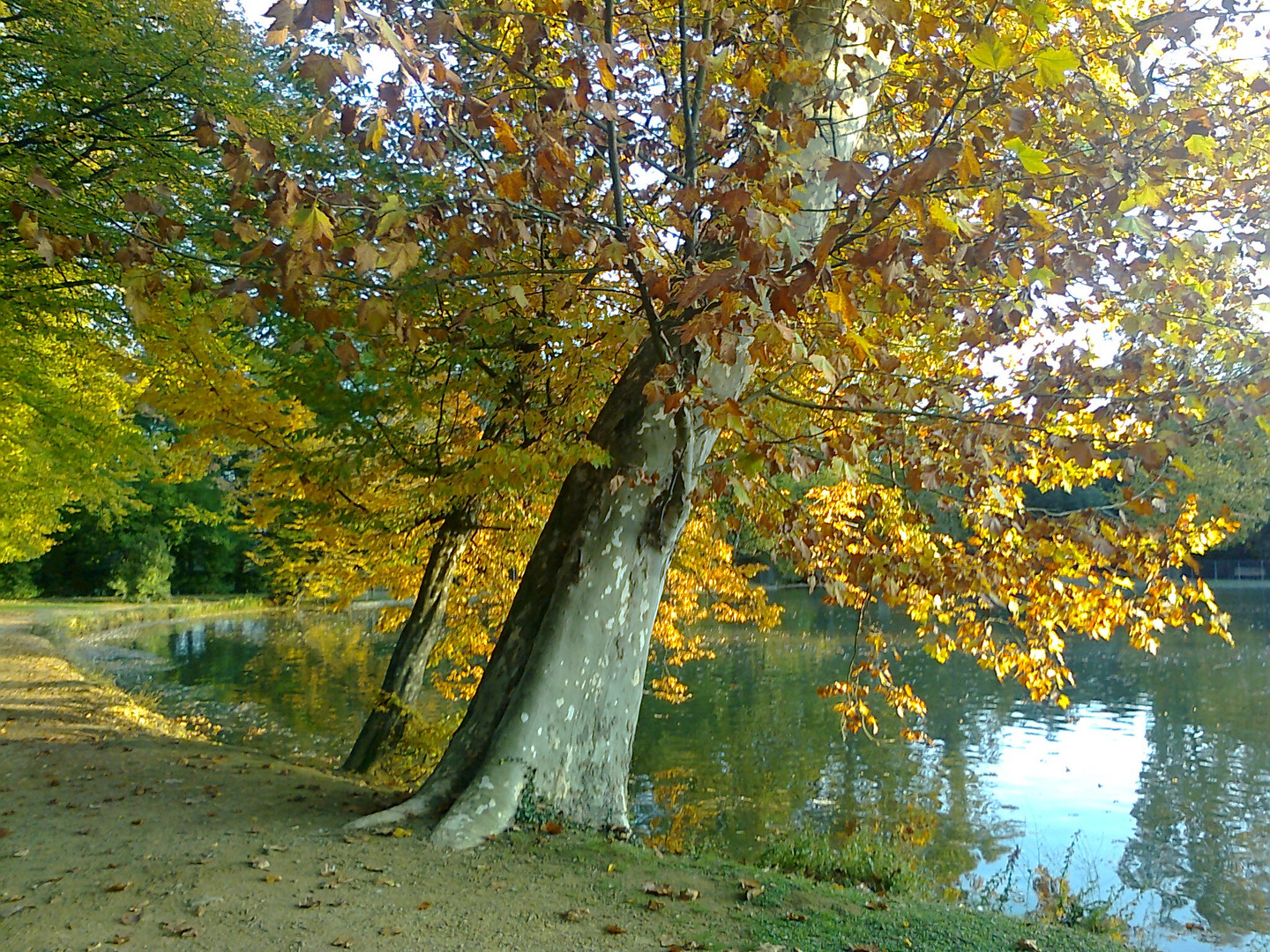 Colori d'autunno