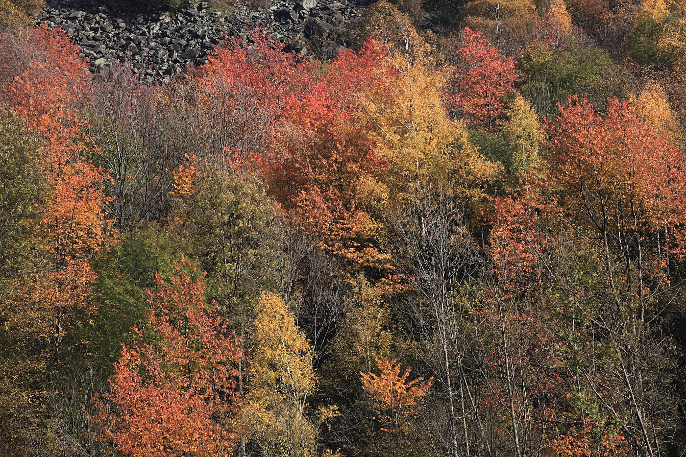 Colori d'autunno