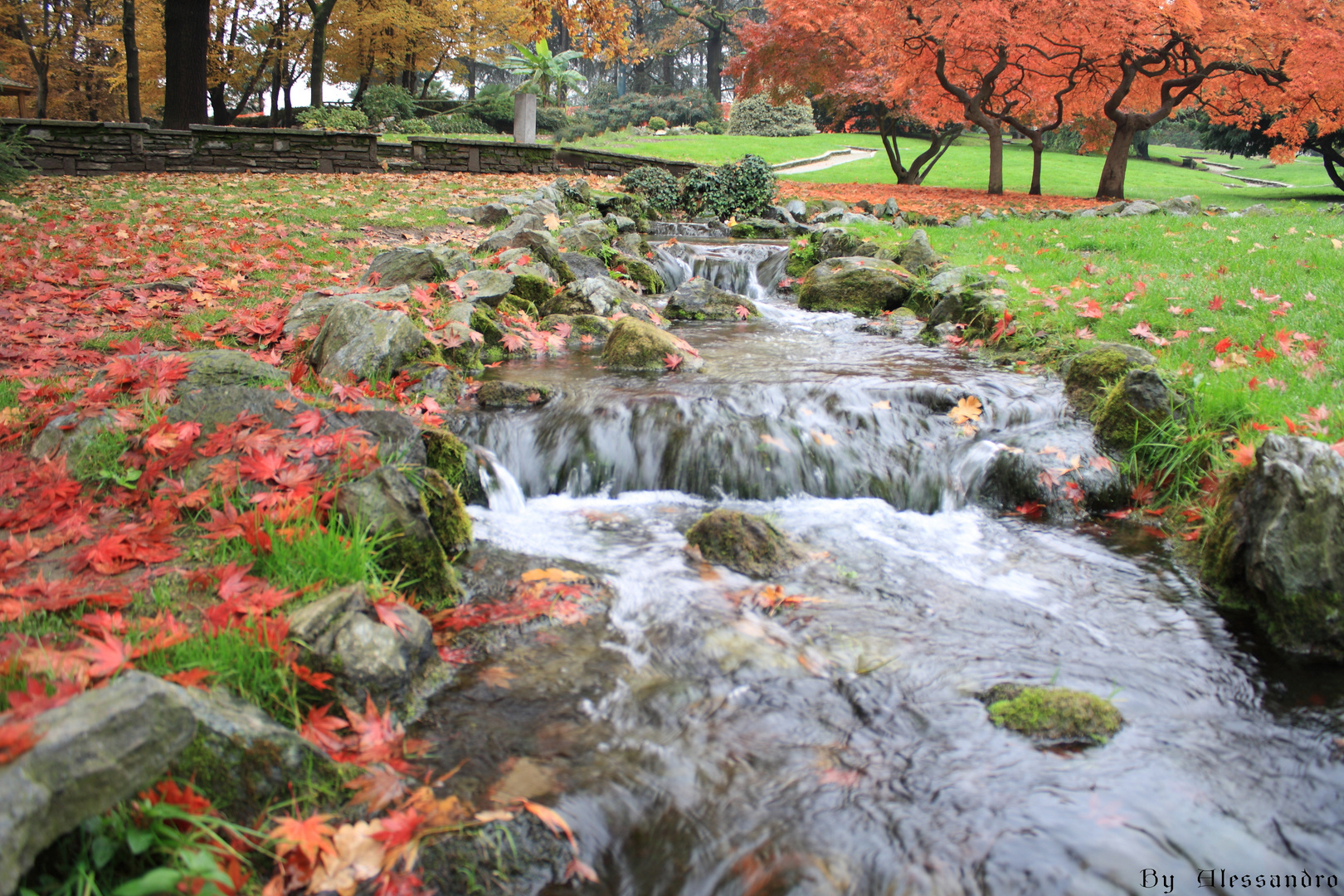 Colori d'autunno