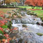 Colori d'autunno