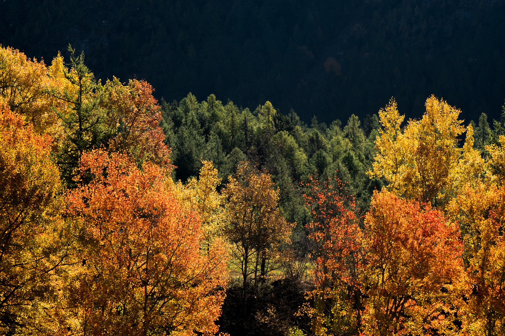 Colori d'autunno