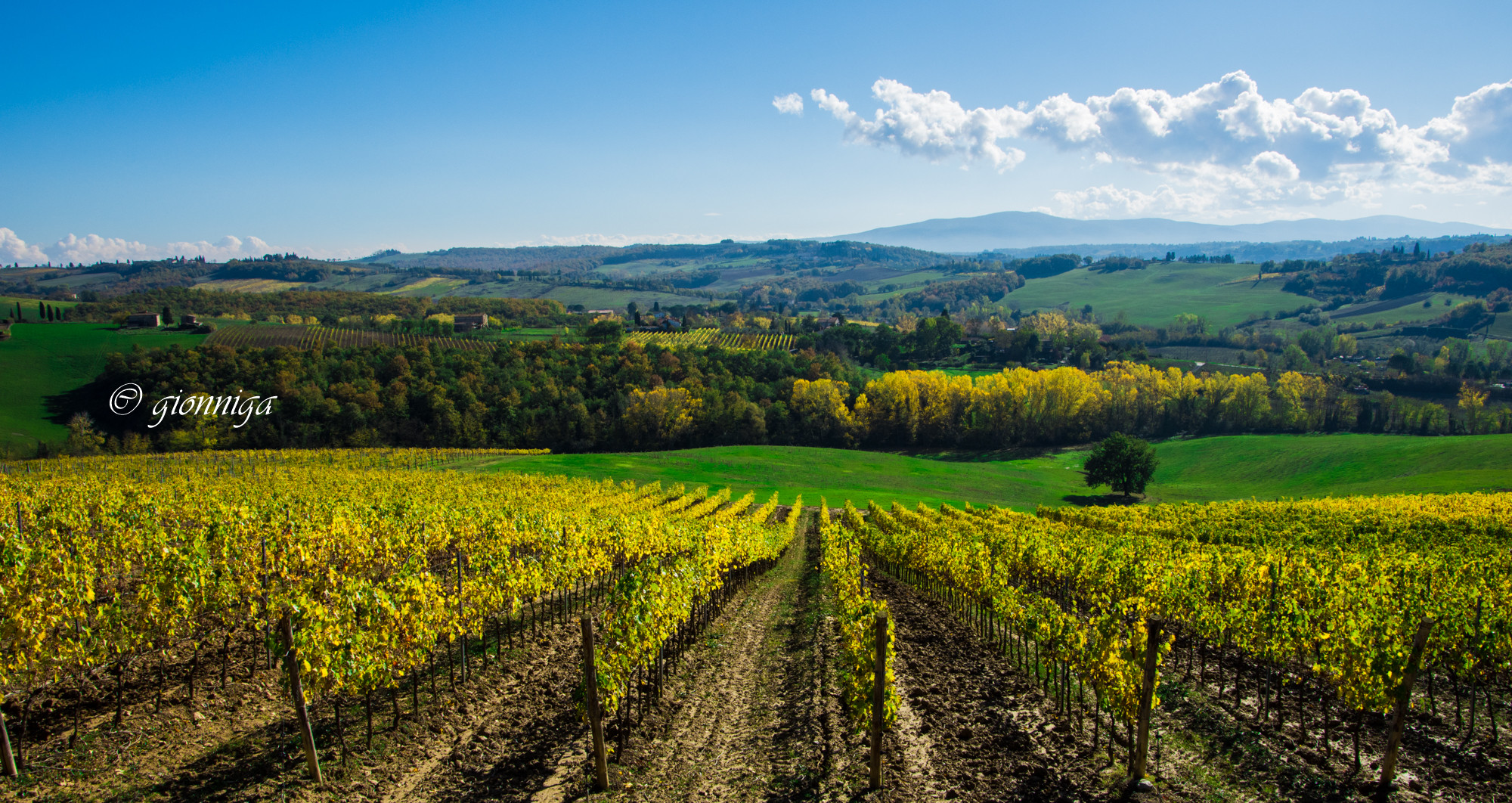 Colori d'autunno